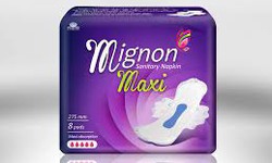 The Importance of Sanitary Pads Wholesale