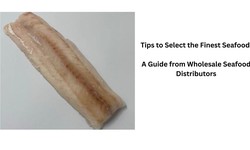 Tips to Select the Finest Seafood: A Guide from Wholesale Seafood Distributors