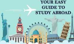 The Ultimate Guide to Choosing the Right Study Abroad Consultant