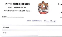 Essential Guide: Birth Certificate Translation Basics