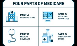 Medicare and Your Health: Examining the Role of Parts A, B, C, and D in Your Well-Being