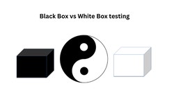 Black Box vs White Box testing