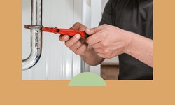 Unveiling the Mystery: Your Ultimate Guide to Sink Garbage Disposal Repair in Tomball