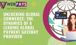 The Dynamics of a Leading Global Payment Gateway Provider