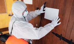 Termite Inspection Services in Tennessee: Protecting Your Home from Silent Invaders