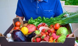 The Future of Convenience: Trends and Innovations in Pre-Chopped Vegetable Delivery Services