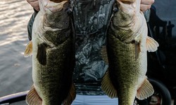 Inside the Mind of a Bassmaster: Strategies for Tournament Success