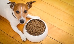 Unveiling the Grain-Free Revolution: A Comprehensive Guide to Grain Free Dog Food