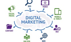 The Ultimate Guide to Choosing a Digital Marketing Agency in Noida:
