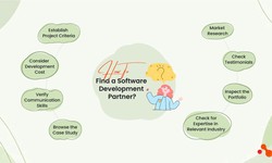 How to Find a Reliable Software Development Partner?