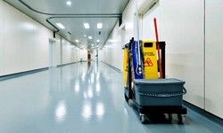 Elevating Workspaces with Janitorial Cleaning Excellence