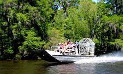 Wild Adventures Await: Florida Airboat Tours in the Sunshine State