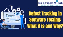 Defect Tracking in Software Testing: What it is and Why?