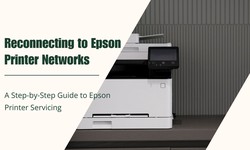 Reconnecting to Epson Printer Networks: A Step-by-Step Guide to Epson Printer Servicing