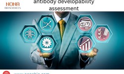 Revolutionizing Drug Development: Unlocking the Power of Antibody Developability Assessment with Nona Bio