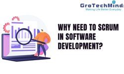 Why Need to Scrum in Software Development?