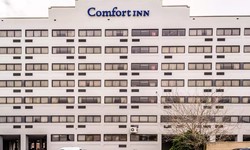 Luxury Redefined in Comfort Inn Fort Mill Hotel's Premier Rooms