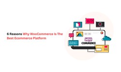 6 Reasons Why WooCommerce Is The Best Ecommerce Platform