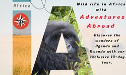 Exploring the Heart of Africa: 13-Day Uganda & Rwanda Adventure !