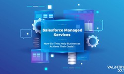 The Importance of Salesforce Managed Services - VALiNTRY360
