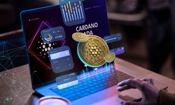Best Cryptocurrency for Beginners: Where to Start in the Crypto World