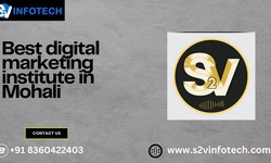 Best digital marketing institute in Mohali