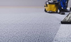 Eco-Friendly Upholstery Cleaning Options for Clyde Homeowners