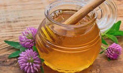 The Golden Harvest: Unveiling the Sweet World of Clover Honey