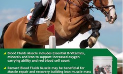 Our Horse Performance Supplements Can Help Your Horse Perform Even More