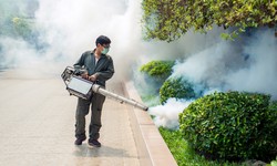 5 Common Commercial Pest Control Myths Debunked
