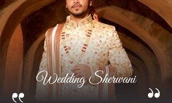 Dapper in Ethnic Wear: Indian Wedding Sherwani Choices