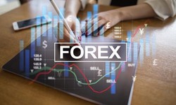 Currency Chronicles: Unveiling Insights with the Forex History API