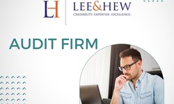 Experienced Audit Professionals for Small Businesses in Singapore