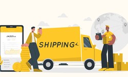 Understanding the Process of Courier Services from the UK to India