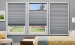 Blinds Brilliance: The Ultimate Style Statement