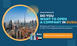 Want to Open a Company in Dubai To Unleash Your Entrepreneurial Spirit in This Thriving Business Hub?