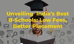 Unveiling India's Best B-Schools: Low Fees, Better Placement