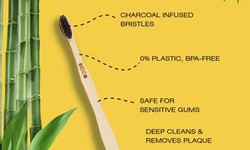 Bamboo: The Eco-Friendly Hero in Your Daily Routine