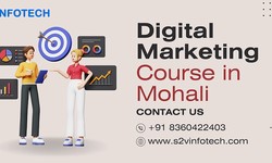 Best digital marketing Course in Mohali