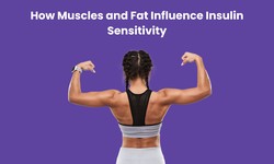 How Muscles and Fat Influence Insulin Sensitivity