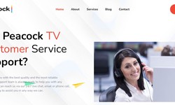 Enhancing Your Peacock TV Support: Live Chat for Swift Solutions