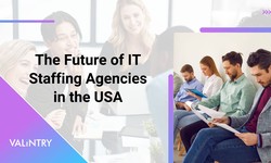 The Future of IT Staffing: How Agencies Are Adapting to the Changing Landscape - VALiNTRY