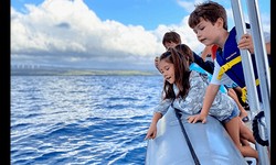 Why is a Chartered Boat the Best Way to Go Whale Watching in Hawaii?