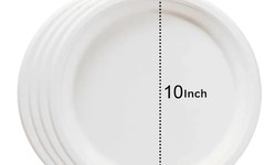 "Eco-Friendly Disposable Plates: Balancing Convenience and Sustainability"