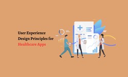 User Experience Design Principles for Healthcare Apps