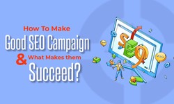 How To Make Good SEO Campaign & What Makes them Succeed?