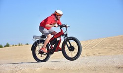 Effects of ebike on the atmosphere