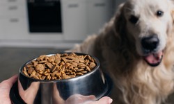 Grain-Free Bliss: Elevate Your Dog's Diet with Grain Free Dog Food