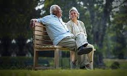 Top Investment Options for Securing Your Retirement in India
