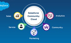 Building Stronger Bonds: Navigating Success with Salesforce Community Cloud Integration